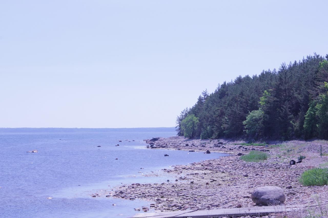 Kuuli Puhkemajad Hotell Tagaranna Exteriör bild